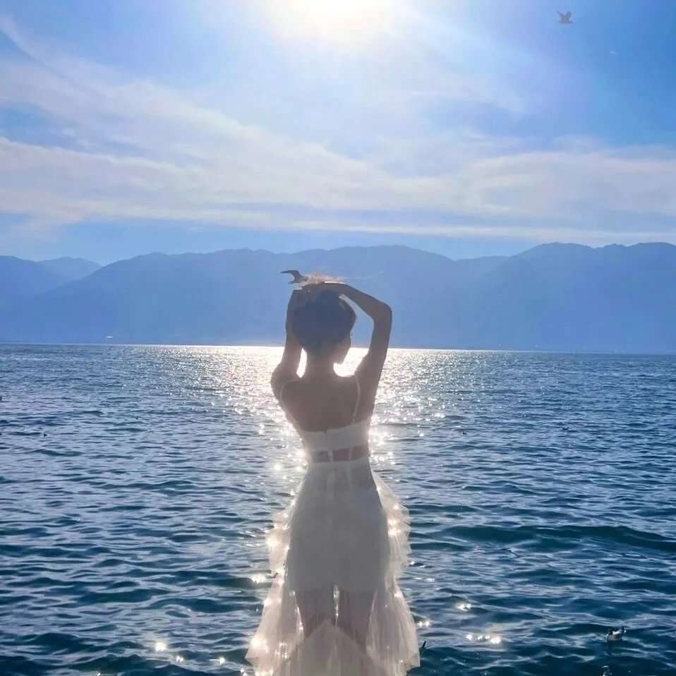 征服太阳 海报